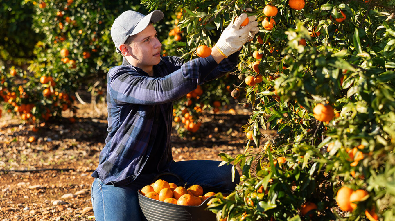 Συμφωνία Mercosur: Προστασία ελληνικών προϊόντων, ευκαιρίες για νέες εξαγωγές, δικλείδες υπέρ των παραγωγών