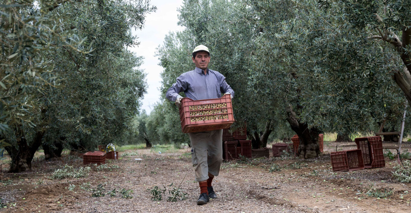 Άνοιγμα σε αγορά 300 εκατ. καταναλωτών για τα ελληνικά προϊόντα από τη συμφωνία ΕΕ-Mercosur