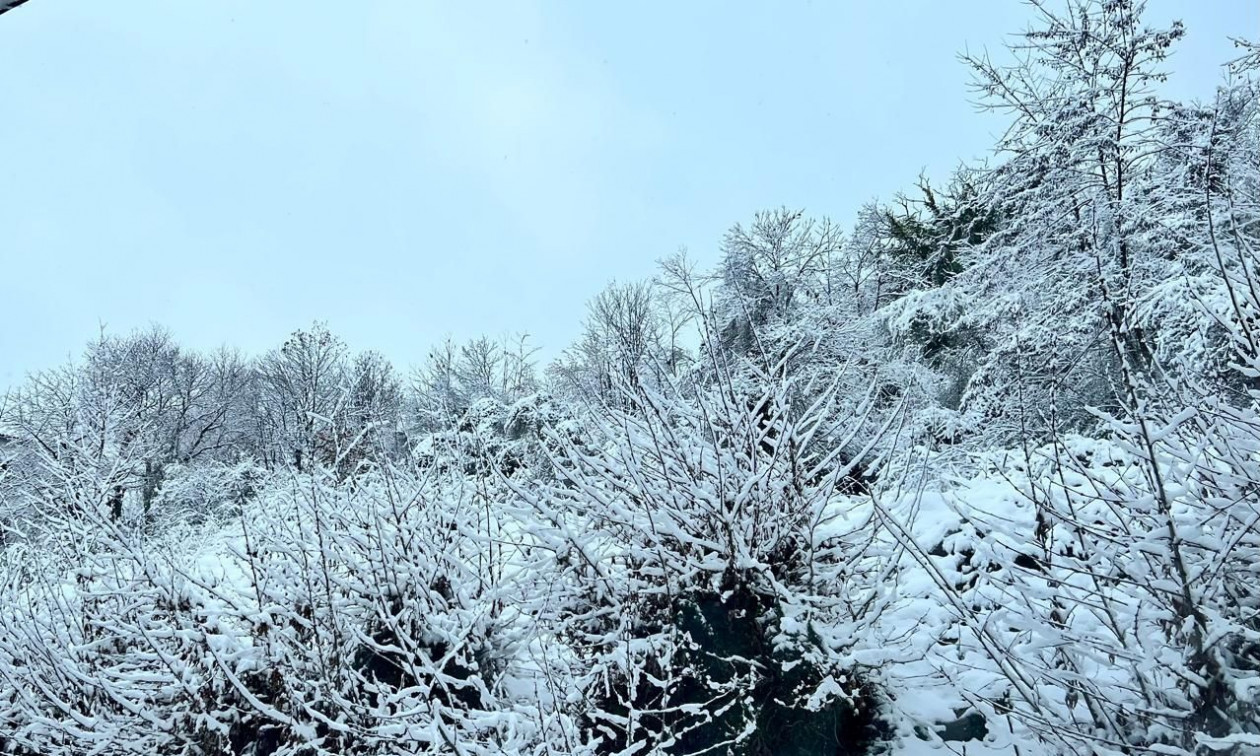 Καιρός: «Βουτιά» της θερμοκρασίας με χιονοπτώσεις σε χαμηλά υψόμετρα