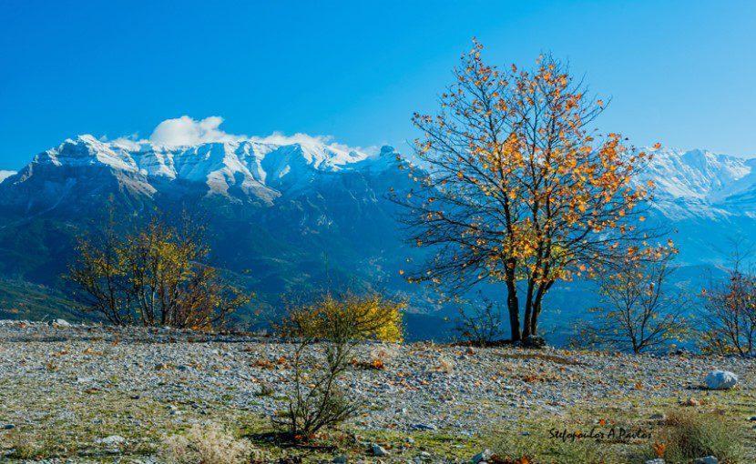 Καιρός: Αλκυονίδες μέρες από σήμερα μέχρι την Παρασκευή