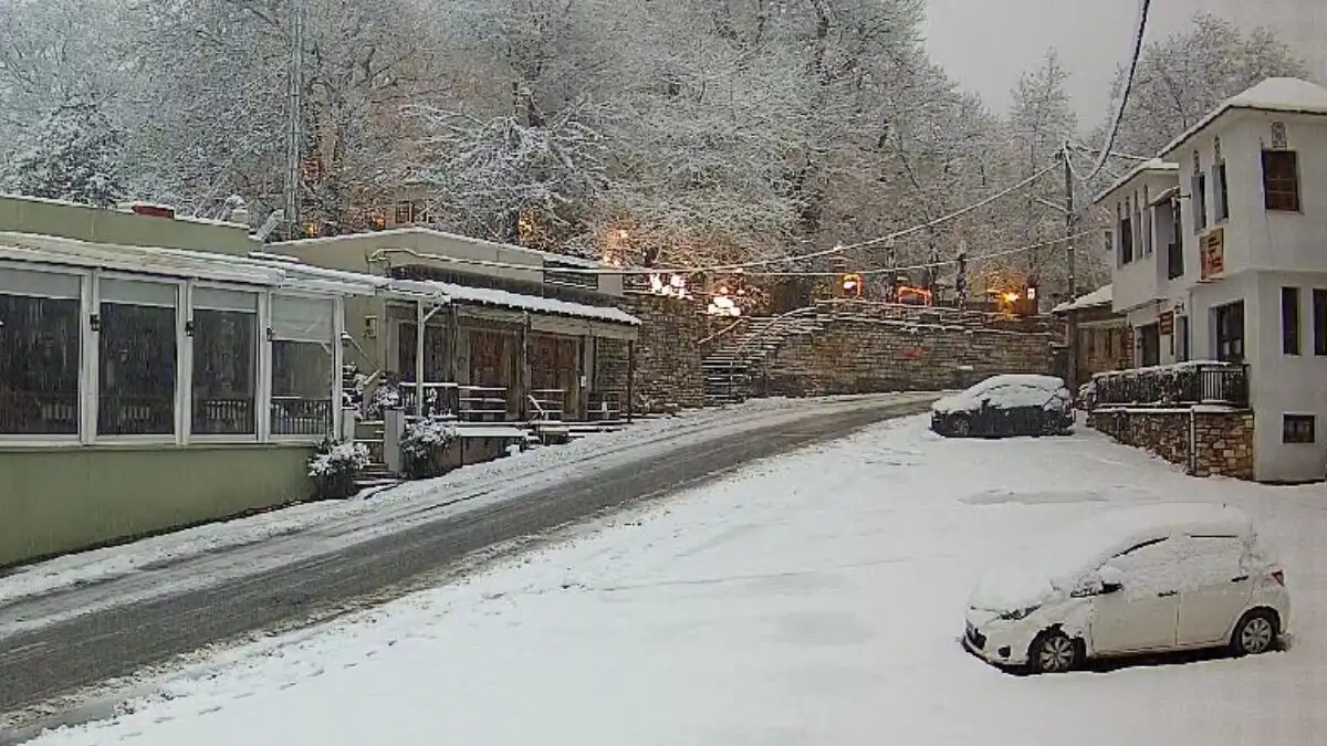 Χειμωνιάτικο σκηνικό στη χώρα: Στα λευκά ντύθηκε η Πορταριά