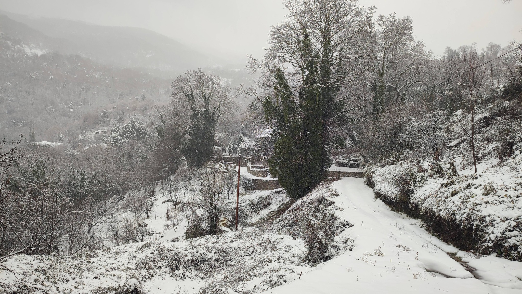 Πήλιο:Τον μετέφεραν στα χέρια πάνω σε φορείο – Συγκλονιστική επιχείρηση μέσα στο χιόνι για καρκινοπαθή