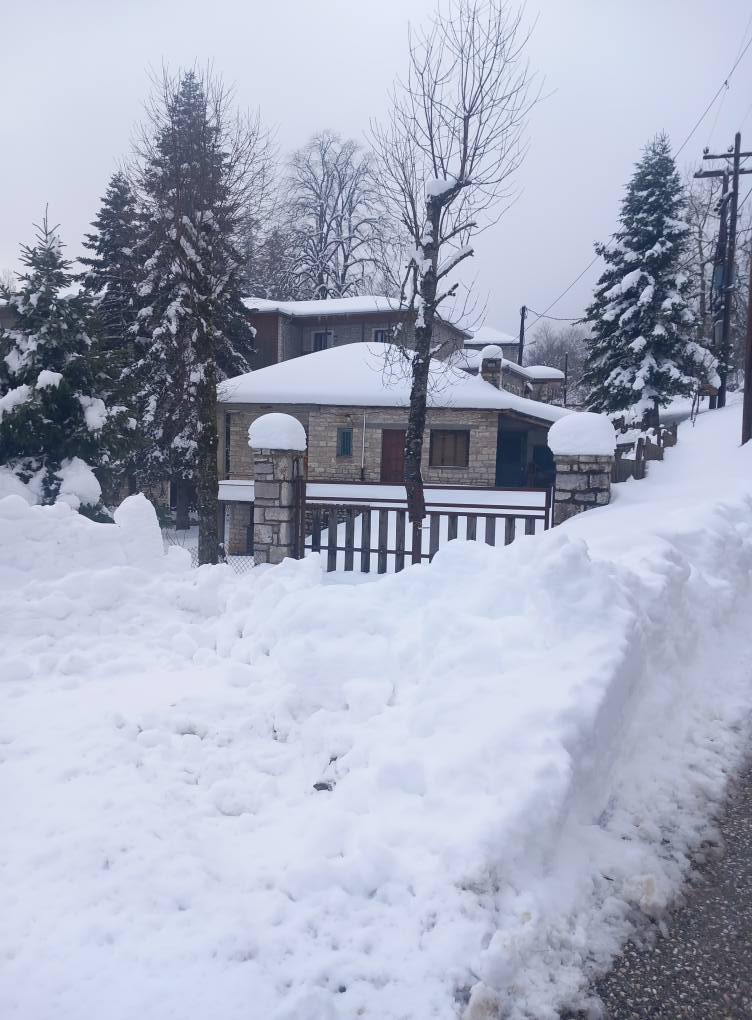Χιονισμένο πανέμορφο Περτούλι: Το Νταβός της Ελλάδας (ΦΩΤΟ)