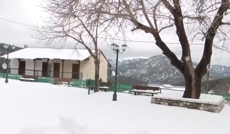 Τα άλογα, οι λύκοι και οι πέντε κάτοικοι του χειμώνα στο Περιβόλι Γρεβενών