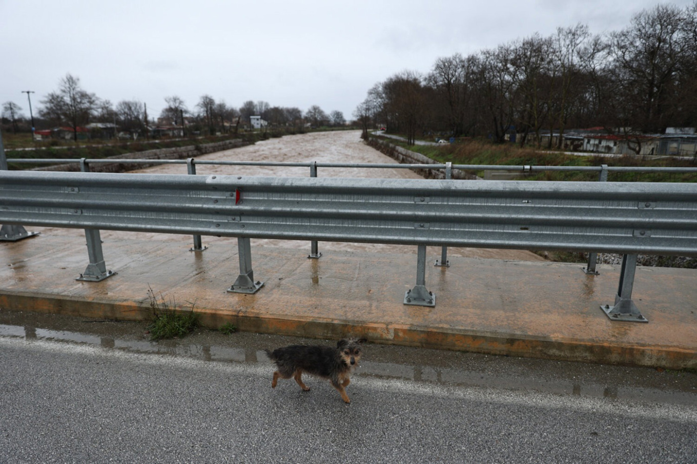 Μεγάλα ύψη βροχής στη Θεσσαλία: 175 χιλιοστά στη Ζαγορά, 102 στην Αγιά, 47 στη Λάρισα