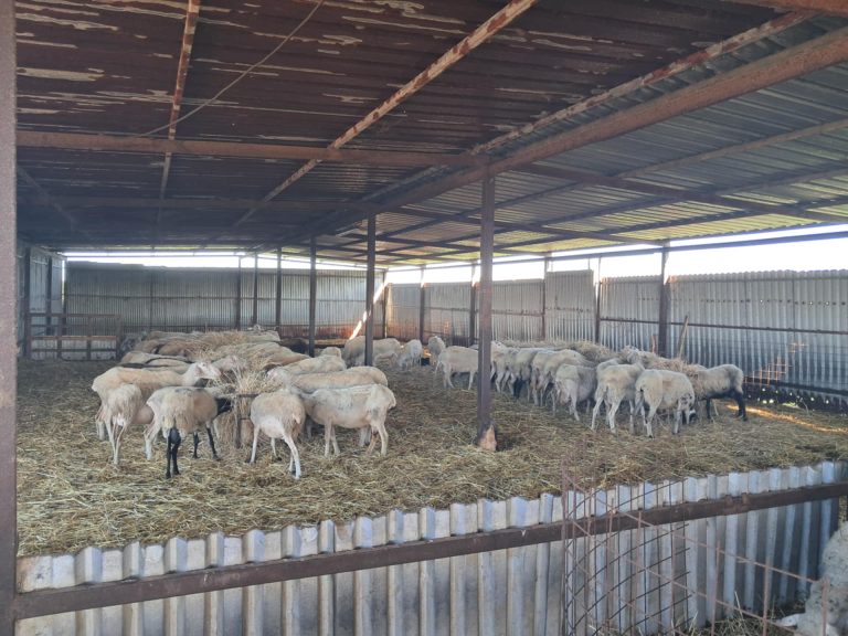 Τι απαντά η Εθνική Επιστημονική Επιτροπή Ελέγχου της Ευλογιάς στην έκθεση της EFSA για το εμβόλιο