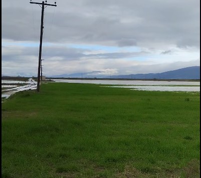 Μεγάλες ζημιές στις καλλιέργειες σε Στεφανοβίκειο και Ριζόμυλο – Βυθίστηκαν χωράφια, πλημμύρισε χείμαρρος