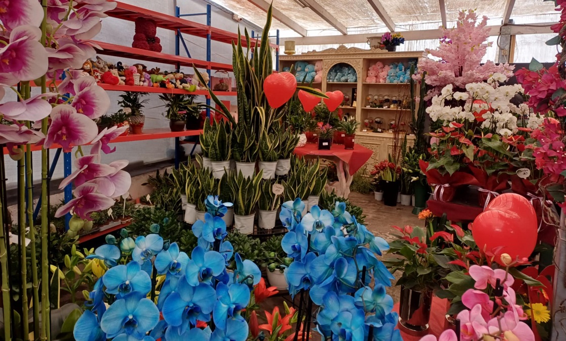 Η Λάρισα γιορτάζει τον Βαλεντίνο σε ανθοπωλεία και ζαχαροπλαστεία... (ΦΩΤΟ)