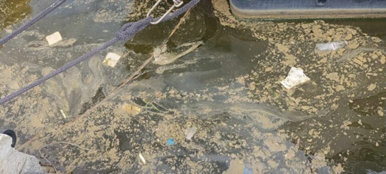 Στ. Λημνιός: Απόδοση ευθυνών για την ρύπανση στο λιμάνι Βόλου μετά το πόρισμα των Επιθεωρητών Περιβάλλοντος