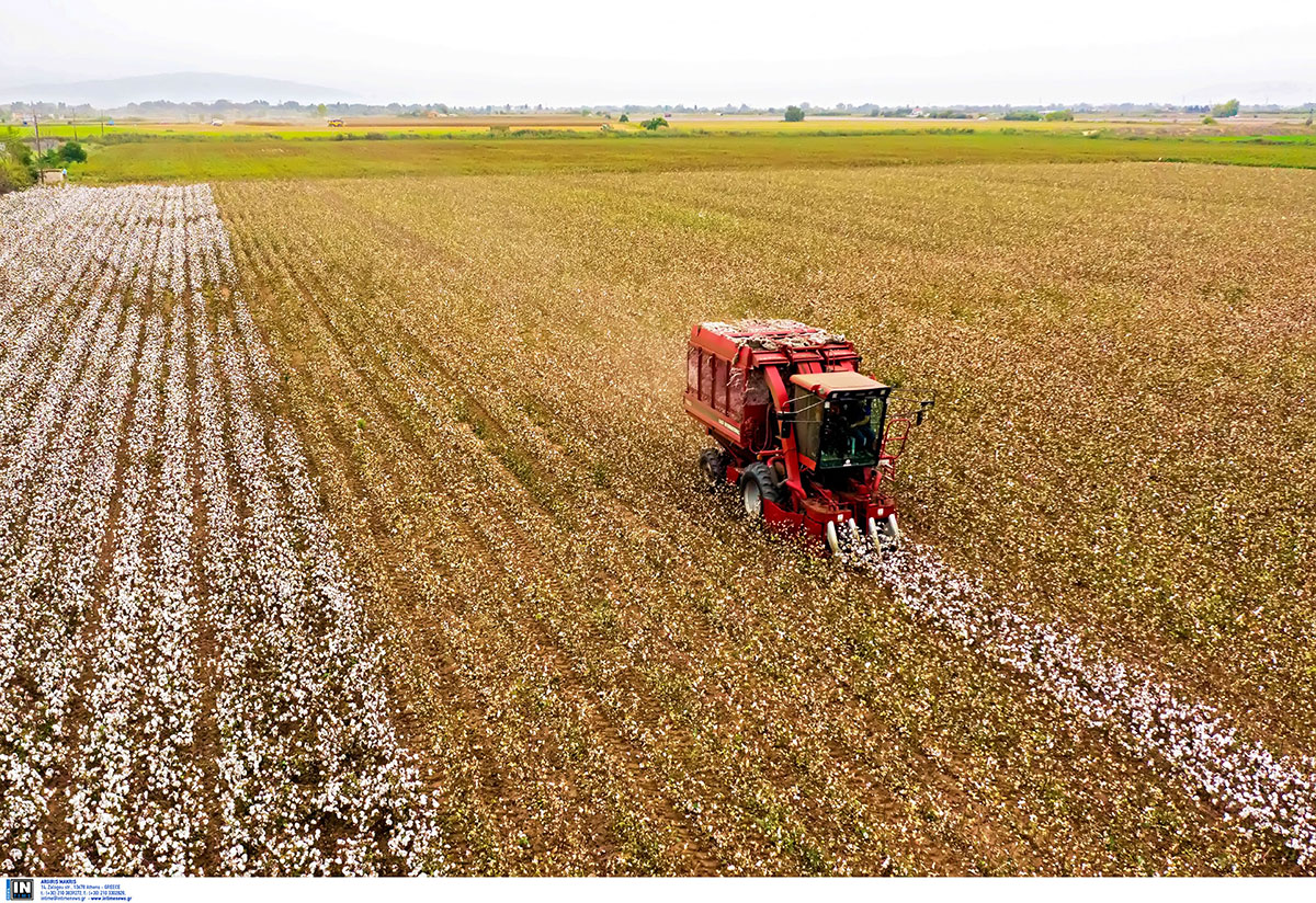 Νομοσχέδιο σκούπα για εκκρεμότητες ΟΠΕΚΕΠΕ ανακατανομή 80+80 σε βαμβάκι-σιτάρι, ζωικά