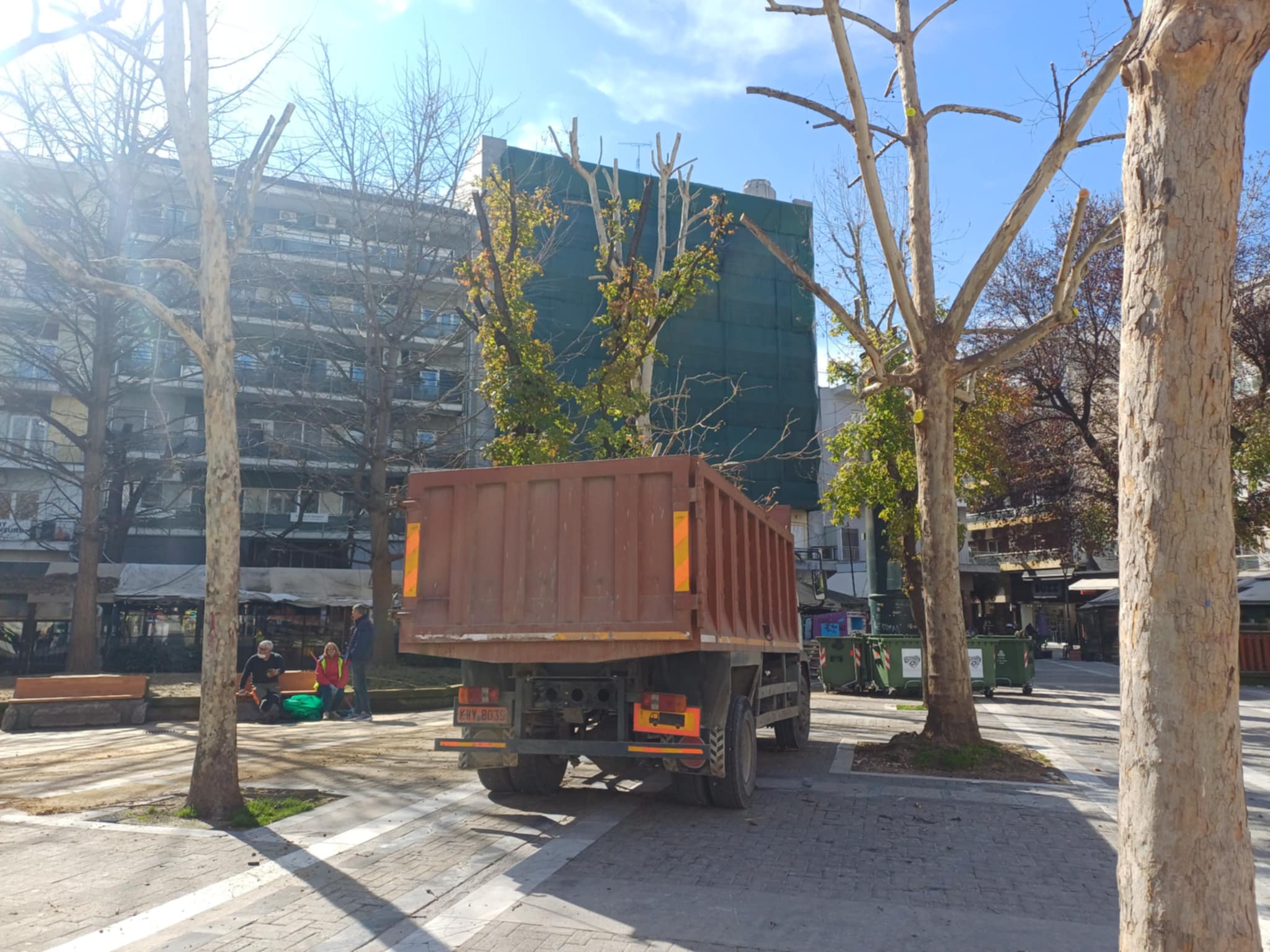 Πιο πράσινη η Λάρισα – Ξεκίνησαν κλαδέματα και νέες φυτεύσεις στο κέντρο της πόλης (ΦΩΤΟ)