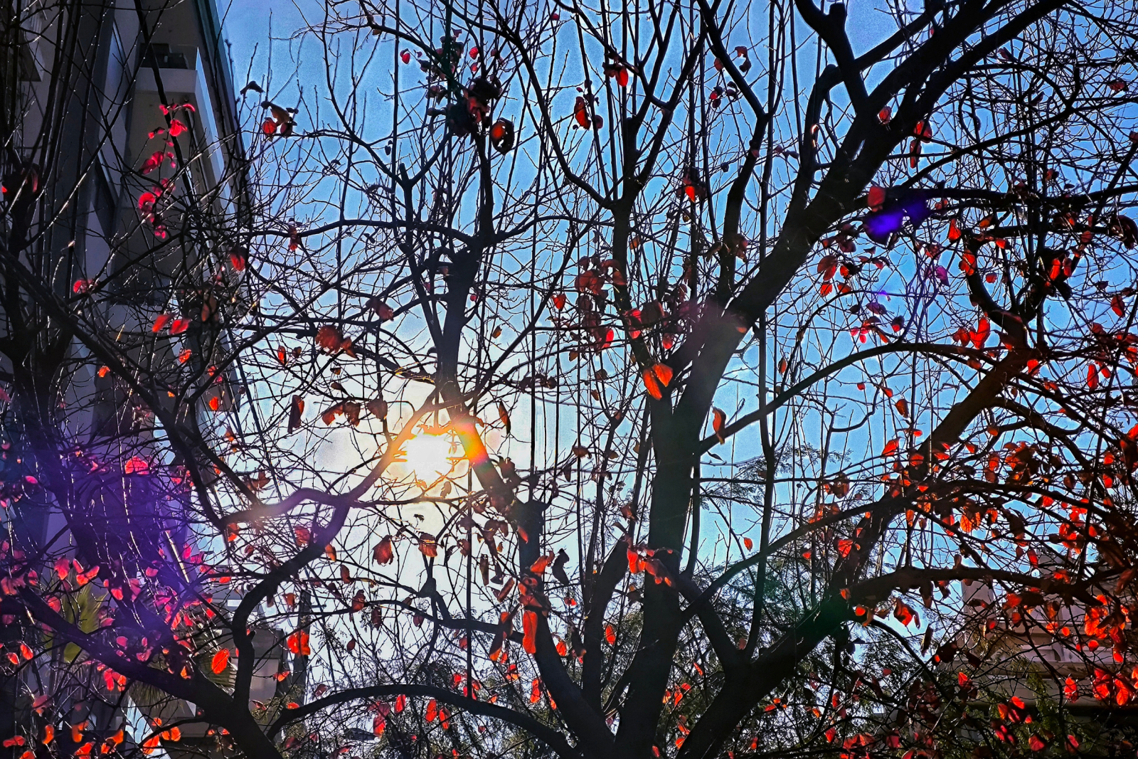 Νίκος Καντερές: Ο φετινός χειμώνας βροχερός,υγρός.θερμός και ανεμμώδης,