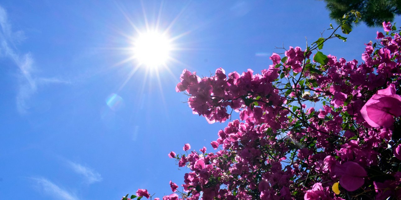 Καιρός: Με ηλιοφάνεια κλείνει ο Φεβρουάριος -Ανεβαίνει η θερμοκρασία την Δευτέρα