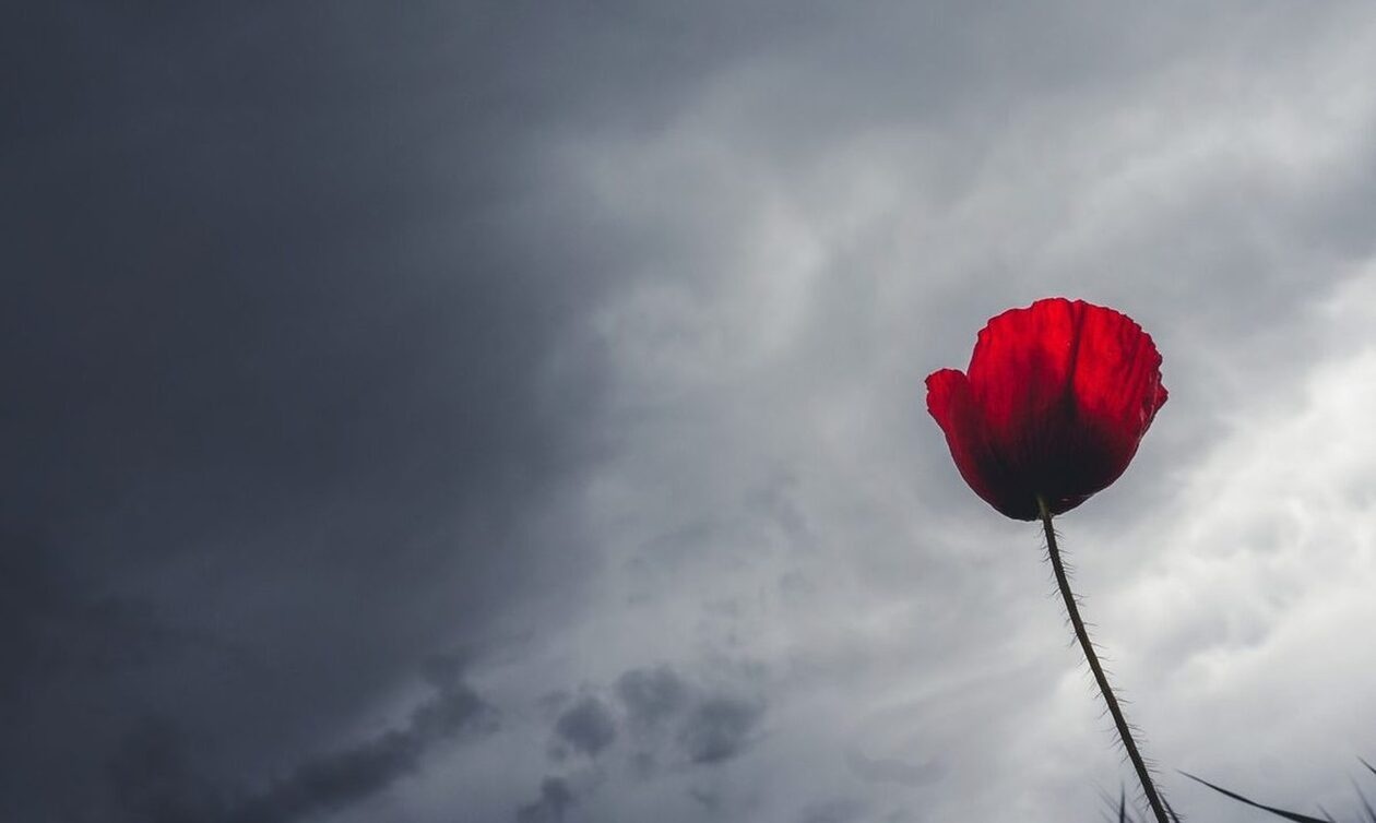 Καιρός: Η πρόγνωση Ζιακόπουλου για την πορεία του Μάρτη - «Άγνωστο αν θα είναι γδάρτης...»