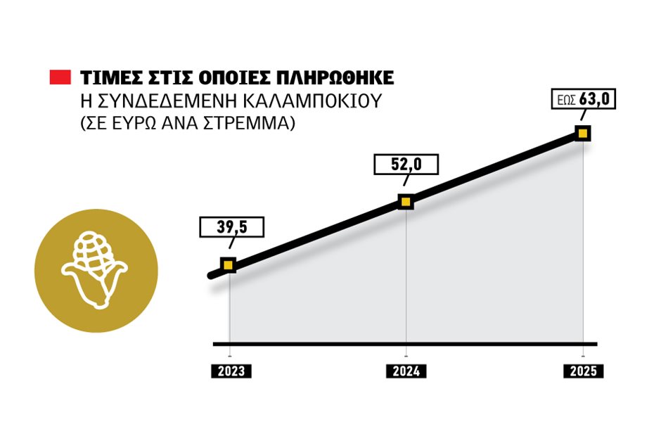 Iσχύουν οι περιορισμοί για τη συνδεδεμένη στο καλαμπόκι, έμμεση στήριξη στο βαμβάκι ενόψει νέων σπορών