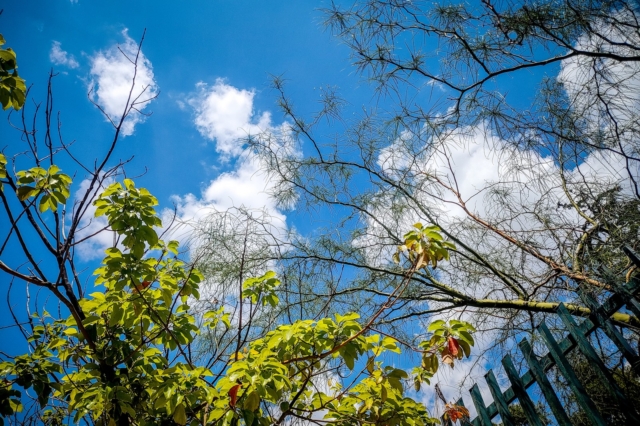 Τακούδης: ανοιξιάτικος καιρός χωρίς βροχές και παγετούς το Μάρτη, ιδανικός για τους αγρότες (video)