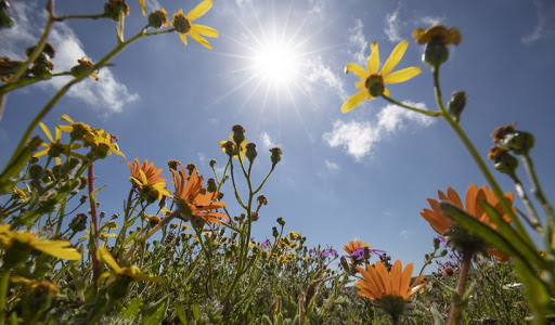 Θερμότερος από τα κανονικά επίπεδα ο Φεβρουάριος – Συν 2,3 βαθμούς στη Θεσσαλία
