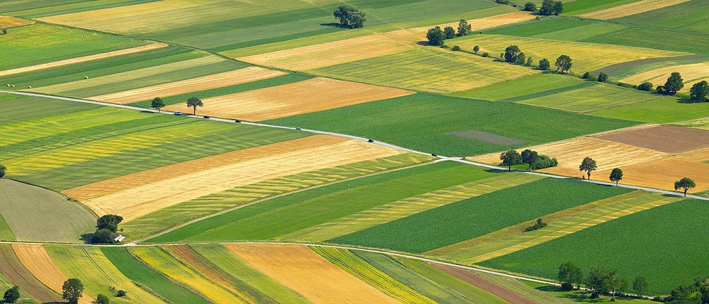 Τι διορθώσεις μπορούν να γίνουν μέχρι τη Δευτέρα στις δηλώσεις ΟΣΔΕ των ετών 2024 και 2025