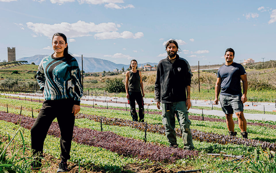 ΕΛΣΤΑΤ: Μείωση της απασχόλησης το δ’ τρίμηνο του 2025 – «Σβήνουν» τα αγροτικά επαγγέλματα