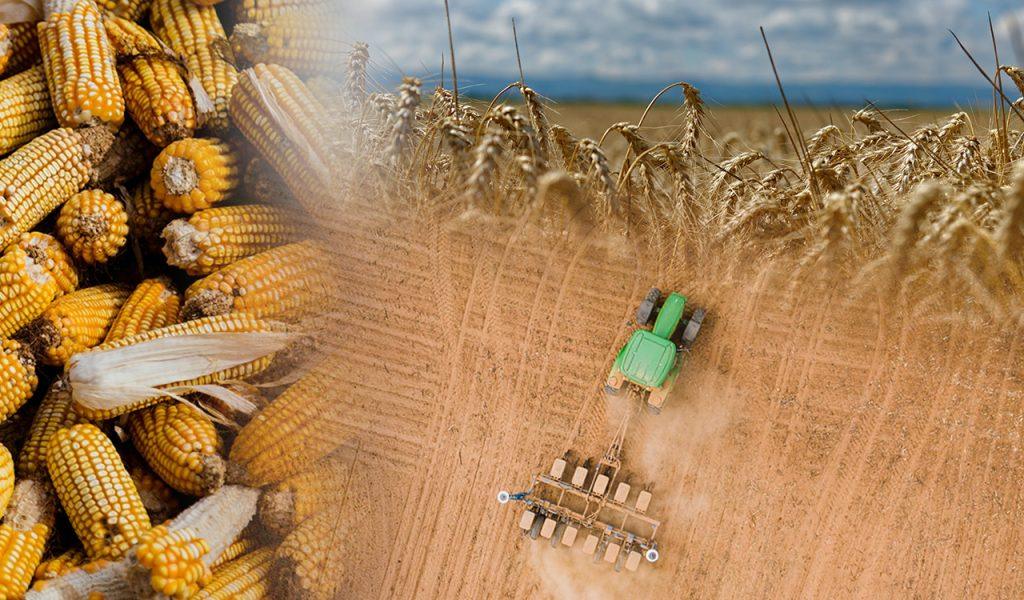 Ιράν: Πώς ο πόλεμος θα επηρεάσει τη γεωργία – Οι ελληνικές εξαγωγές [πίνακες]