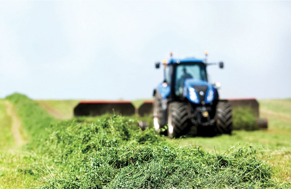 Θέμα το καρτελάκι στη μηδική, προς 60 ευρώ η συνδεδεμένη σόγιας, στα 14 ευρώ ανά κεφάλι το πριμ αιγοπροβάτων