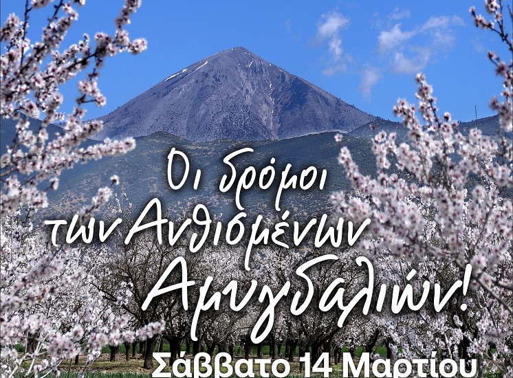 Ο Δήμος Τεμπών καλωσορίζει την Άνοιξη με «Οι δρόμοι των Ανθισμένων Αμυγδαλιών»
