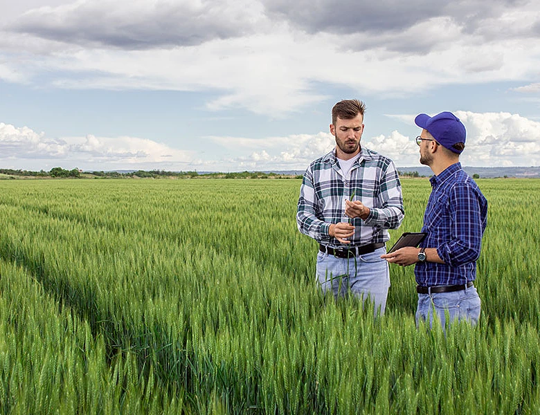 Ομαδική έξοδος 75.900 απασχολούμενων στο αγροτικό επάγγελμα, μέσα σε ένα χρόνο