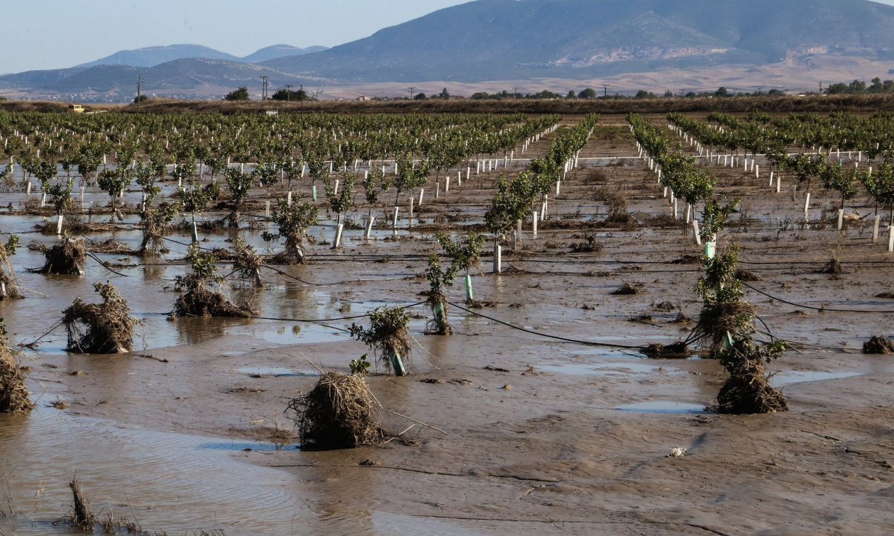 Μαγνησία: Οικογένεια πλημμυροπαθών του Daniel με δύο παιδιά μένει σε φορτηγάκι μετά από κατάσχεση!