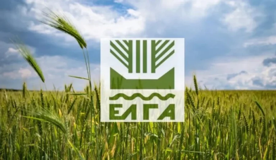 Στις αρχές του Απριλίου πληρώνει για ζημιές ζωϊκού και φυτικού 2025 ο ΕΛΓΑ