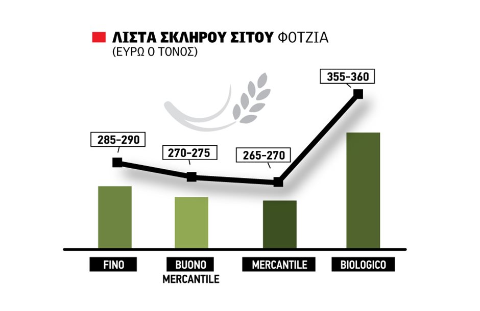 Σταθερότητα για το ελληνικό σκληρό, στα 290 ευρώ στη Φότζια