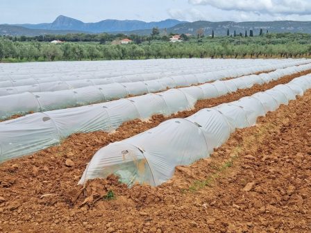 Ανατιμήσεις-σοκ στα αγροτικά πλαστικά λόγω γεωπολιτικής κρίσης