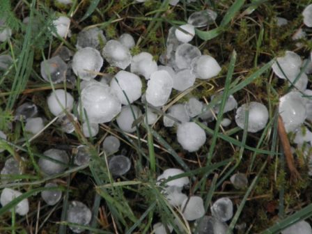 Αρχές Απριλίου πληρώνει ο ΕΛΓΑ για τις ζημιές του 2025