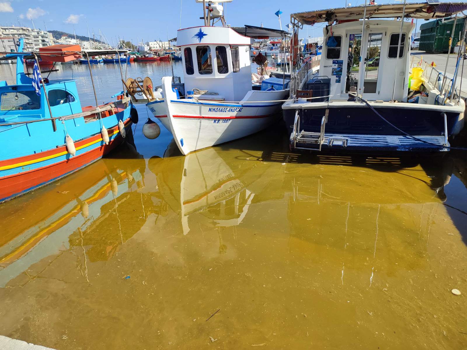 Ανησυχία στον Βόλο για την κίτρινη βλέννα στο Λιμάνι: Απαντήσεις περιμένουν οι ξενοδόχοι