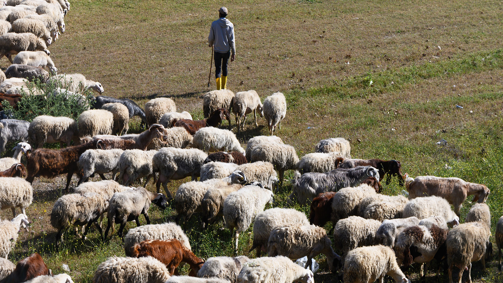 ΟΠΕΚΕΠΕ: Δύο ανώνυμες καταγγελίες και μια περίεργη σύμπτωση