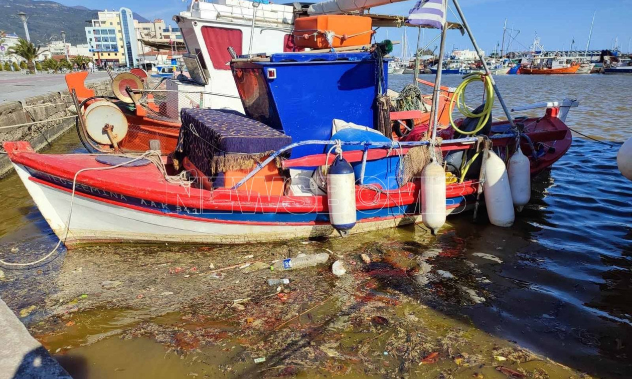 Βόλος: Συνεχίζει να εξαπλώνεται η κίτρινη βλέννα στο λιμάνι - Τι έδειξε η μελέτη των δειγμάτων που ελήφθησαν