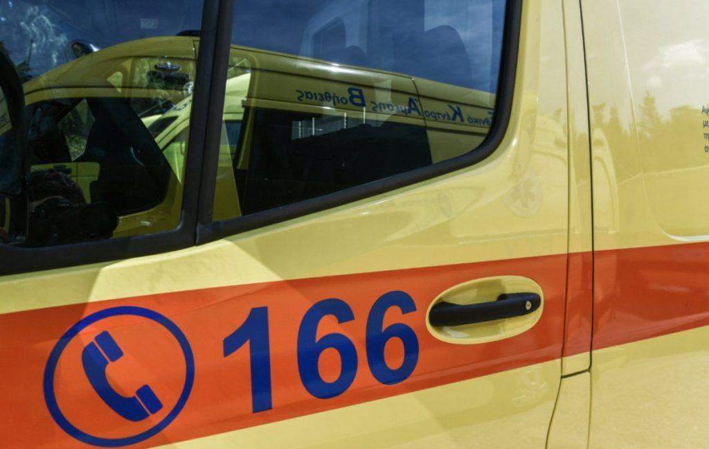 Πανικός στη Σύρο – Οχιά δάγκωσε 13χρονο