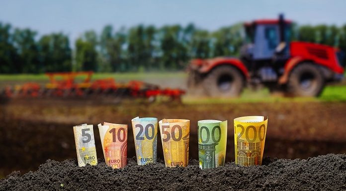 Γ. Περουλάκης: «Η μεταφορά του ΟΠΕΚΕΠΕ στην ΑΑΔΕ και η αύξηση των ελέγχων έφερε προβληματικές πληρωμές»