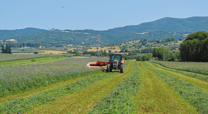 Περιμένουν το de minimis οι παραγωγοί μηδικής για να ρεφάρουν