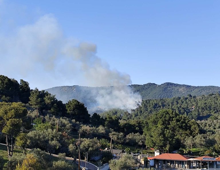 Υπό έλεγχο η φωτιά στο πευκοδάσος της Σκιάθου