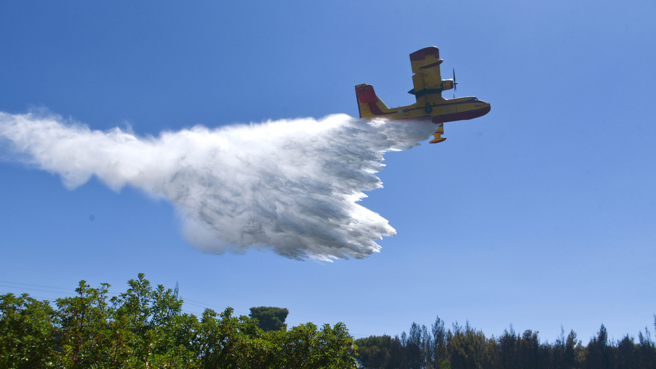 Φωτιά σε δάσος στο Νεοχώρι Πηλίου – Συναγερμός στην Πυροσβεστική