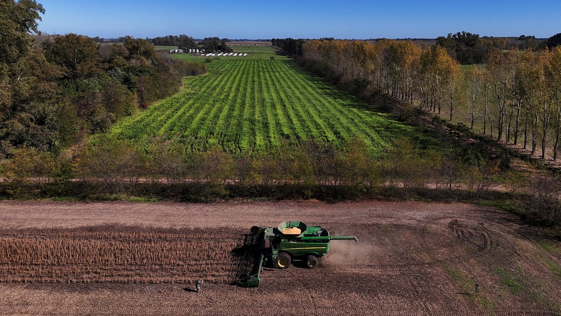 Ντογκούλης: Λείπουν φέτος από τη Θεσσαλία 150 εκατ. ευρώ αγροτικών επιδοτήσεων (video)