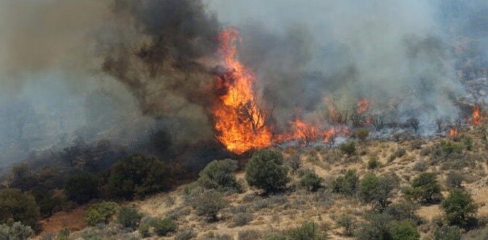 Σύλληψη και πρόστιμο στον 59χρονο αγρότη που ευθύνεται για τη φωτιά στο Νεοχώρι Πηλίου