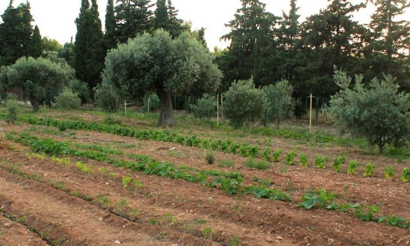 Τραγωδία στην Κοζάνη: Νεκρός σε χωράφι 67χρονος αγρότης