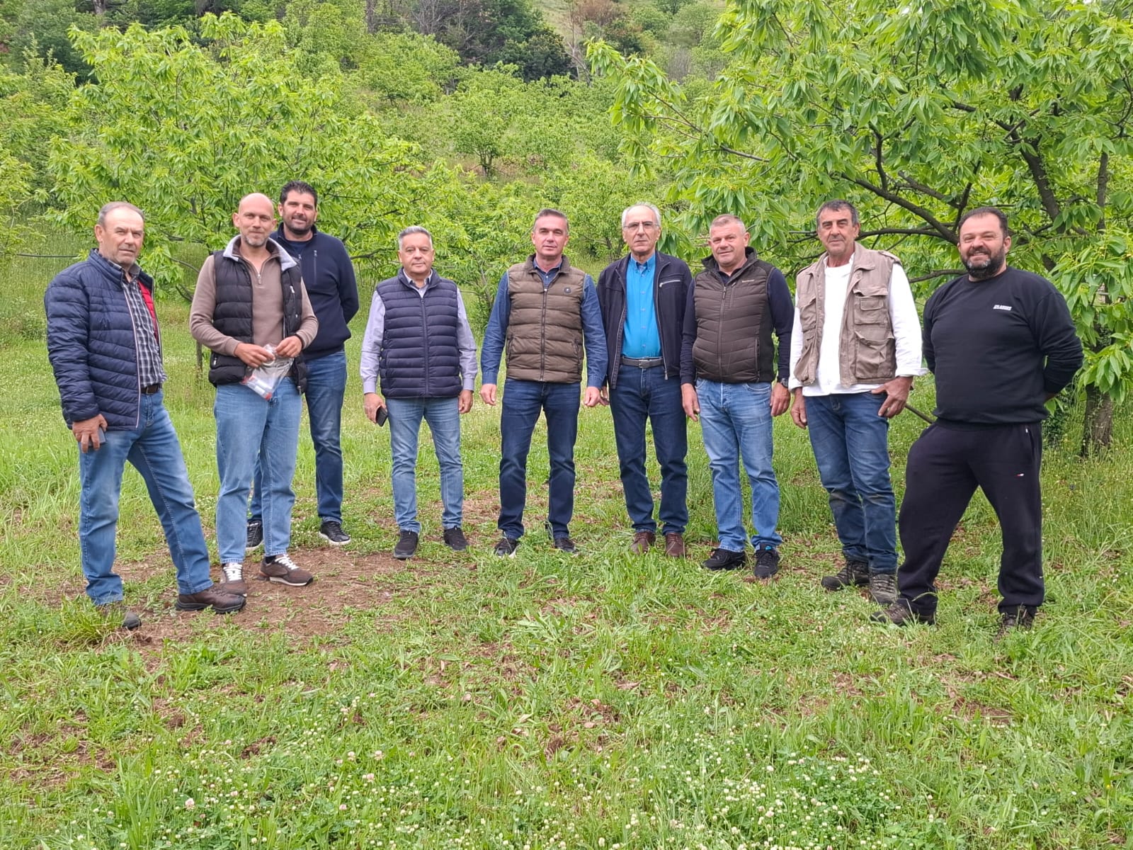 Στο πλευρό των παραγωγών της Αγιάς η Περιφέρεια Θεσσαλίας-Αντιμετώπιση της σφήκας της καστανιάς