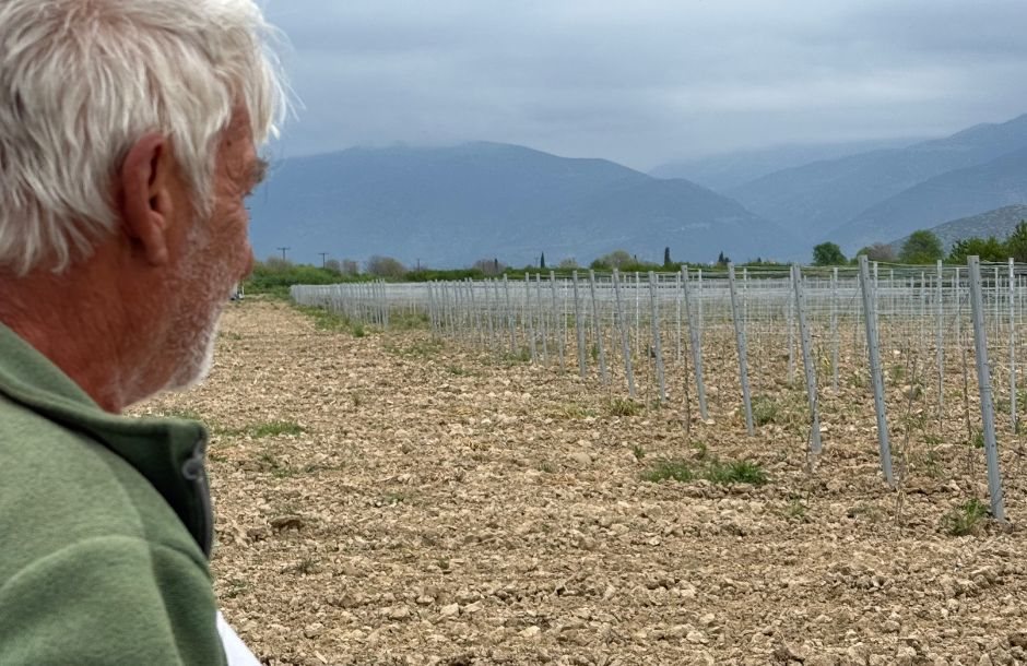 Για πρώτη φορά με το σύστημα ΑΑΔΕ οι δηλώσεις καλλιέργειας, πολλά τα προβλήματα με τα μισθωτήρια γης