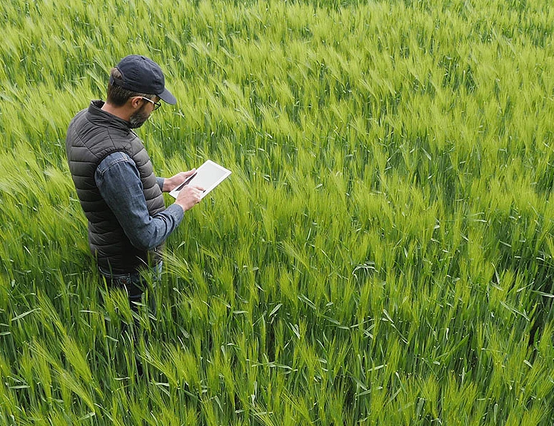 Έρχεται η ψηφιακή εφαρμογή της εκτιμητικής διαδικασίας στο χωράφι από τον ΕΛΓΑ