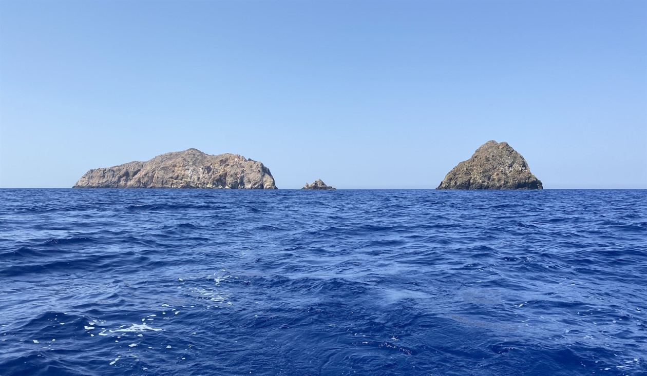 Προειδοποίηση WWF προς Έλληνες ψαράδες και καταναλωτές: Μην φάτε αυτό το ψάρι αν το αλιεύσετε