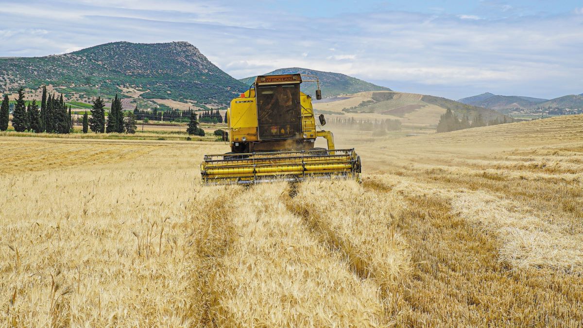 Ράλι τιμών στο σκληρό ακόμα και στα 28 λεπτά πριν βγει ο Αύγουστος δείχνουν τα θεμελιώδη
