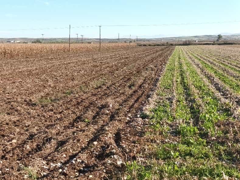 Στα κάγκελα οι αγρότες Δ. Ρήγα Φεραίου για την άρδευση από την Κάρλα – Μπήκε ο Ιούνιος και το νερό αγνοείται…