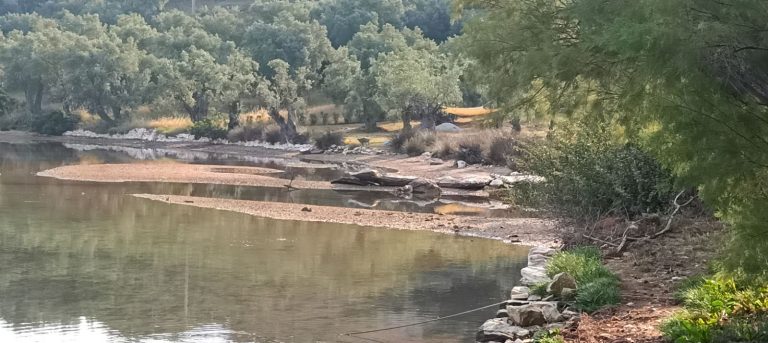 Κάτοικοι καταγγέλλουν αποκλεισμό πρόσβασης στην παραλία Γλυφάδα στο Νότιο Πήλιο
